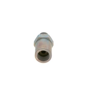 BOSCH Tlakový obmedzovací ventil, Common-Rail-System 1110010021