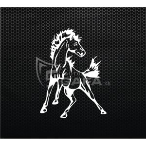 Nálepka - koň - NALEPKA68