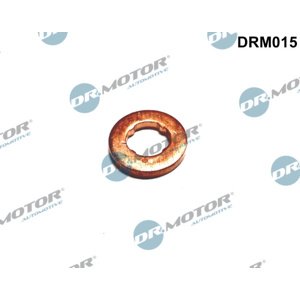 DR.MOTOR AUTOMOTIVE Tesniaci krúžok vstrekovacieho ventilu DRM015