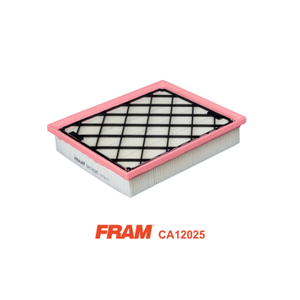 FRAM Vzduchový filter CA12025