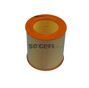 FRAM Vzduchový filter CA4813