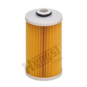 HENGST FILTER Palivový filter E490KP D484