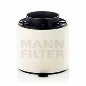 MANN-FILTER Vzduchový filter C161141X