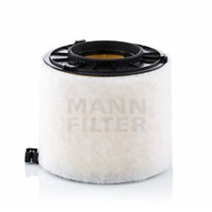 MANN-FILTER Vzduchový filter C17010