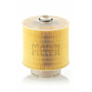 MANN-FILTER Vzduchový filter C17137X