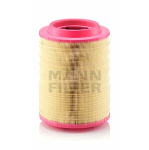MANN-FILTER Vzduchový filter C256602