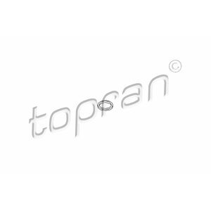 TOPRAN Tesnenie turbodúchadla 110599