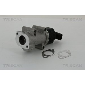 TRISCAN AGR - Ventil 881310005