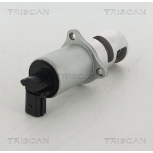 TRISCAN AGR - Ventil 881310100
