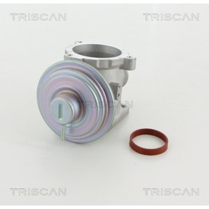 TRISCAN AGR - Ventil 881311003