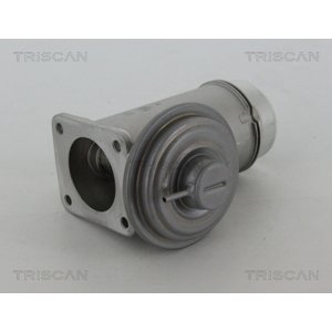 TRISCAN AGR - Ventil 881311005