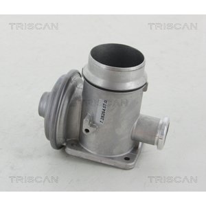 TRISCAN AGR - Ventil 881311102