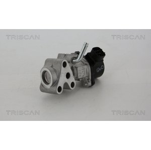 TRISCAN AGR - Ventil 881313028
