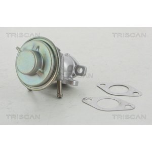 TRISCAN AGR - Ventil 881315029