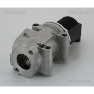 TRISCAN AGR - Ventil 881315032