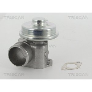 TRISCAN AGR - Ventil 881316010