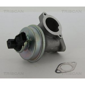 TRISCAN AGR - Ventil 881316012
