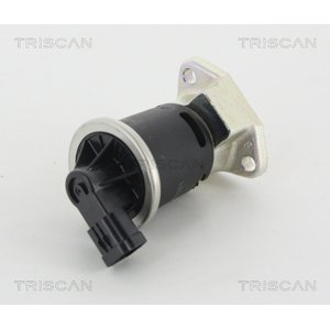 TRISCAN AGR - Ventil 881321004