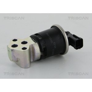 TRISCAN AGR - Ventil 881321008