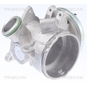 TRISCAN AGR - Ventil 8813 23032