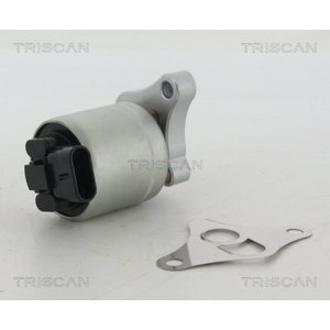 TRISCAN AGR - Ventil 881324002