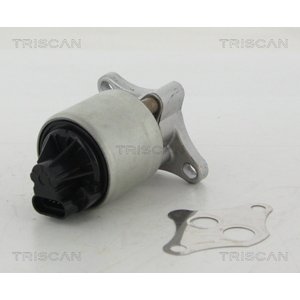 TRISCAN AGR - Ventil 881324004
