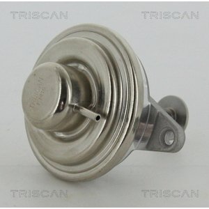 TRISCAN AGR - Ventil 881324054