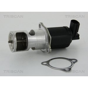 TRISCAN AGR - Ventil 881324055