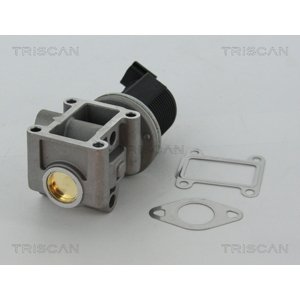 TRISCAN AGR - Ventil 881324082