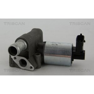 TRISCAN AGR - Ventil 881324102