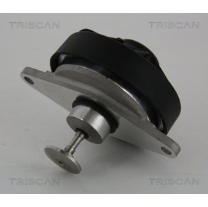 TRISCAN AGR - Ventil 881324202