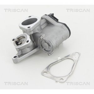 TRISCAN AGR - Ventil 881325201