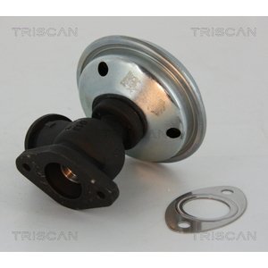 TRISCAN AGR - Ventil 881328012