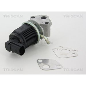 TRISCAN AGR - Ventil 881329009