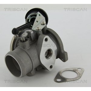 TRISCAN AGR - Ventil 881329022