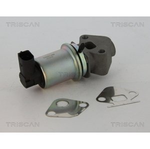 TRISCAN AGR - Ventil 881329045