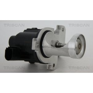 TRISCAN AGR - Ventil 881329101
