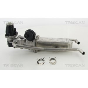 TRISCAN AGR - Ventil 881329325