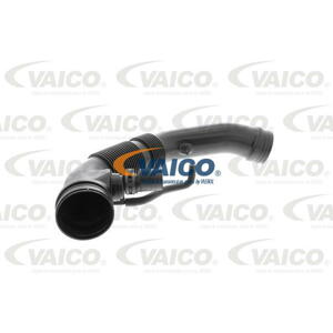 VAICO Nasávacia hadica, Vzduchový filter V10-2770