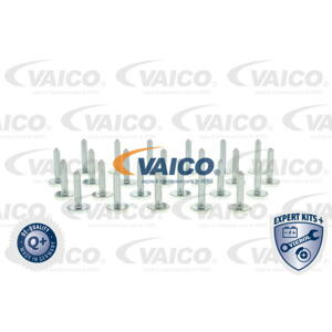 VAICO Sortiment, skrutky V201531