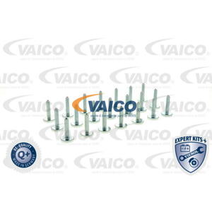 VAICO Sortiment, skrutky V201532
